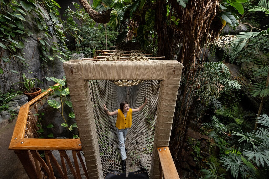 Photo of a person at the Discovery Place rainforest